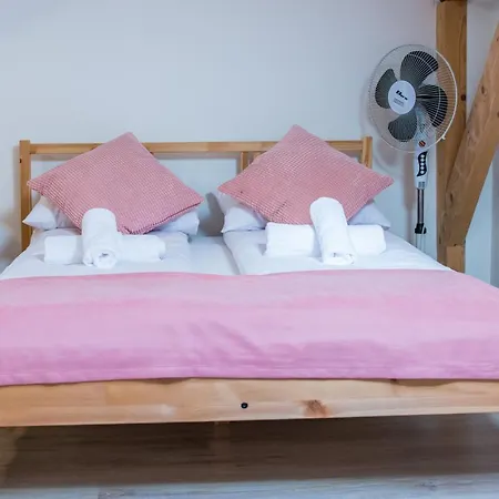 Harmony بيت شباب