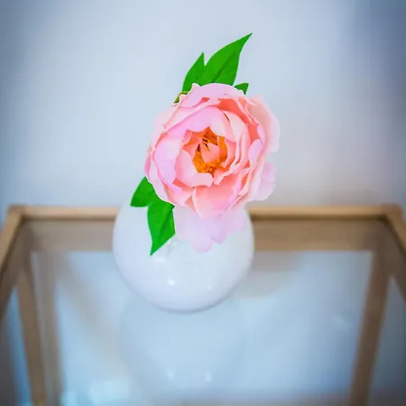 Harmony Hostel Zator