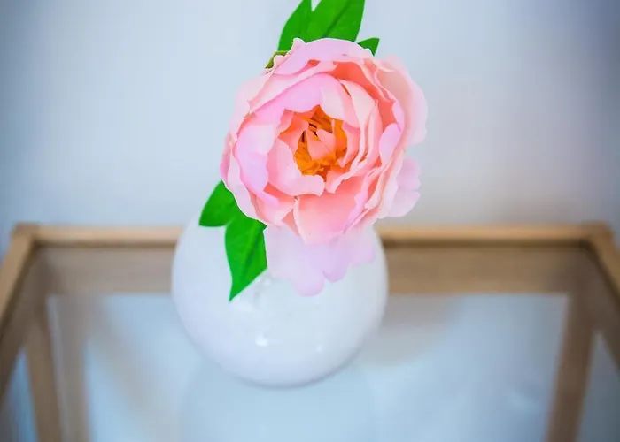 Harmony Ostello Zator